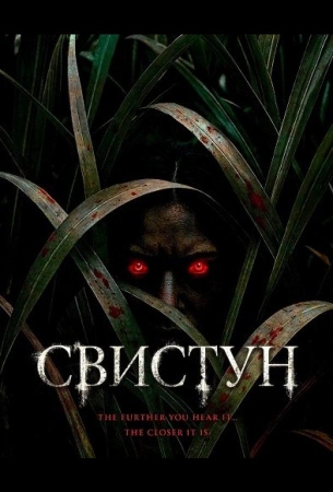 Свистун